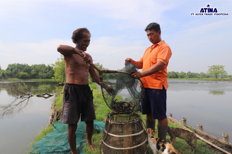 Ecoshrimp: Sustainable Shrimp Farming