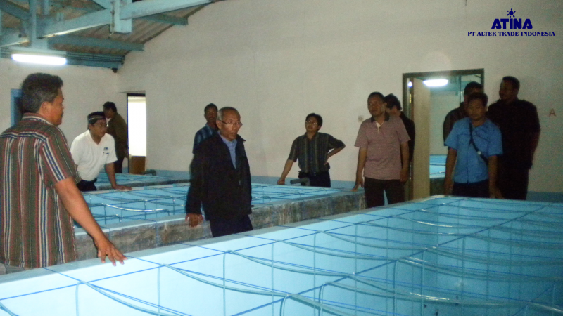 ATINA Hatchery