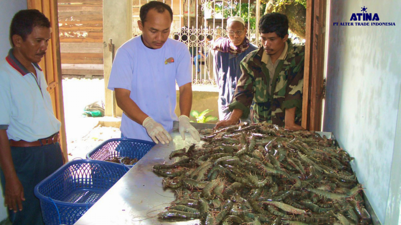 Expansion to Pinrang, South Sulawesi