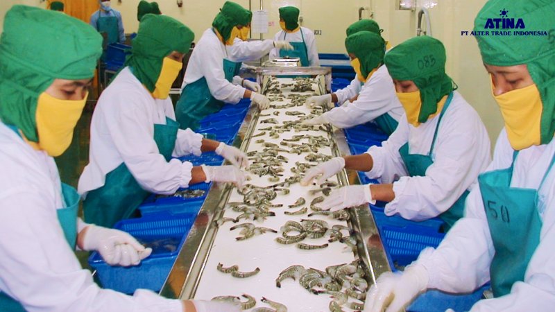 Production Begins at ATINA’s Own Facility